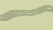 A dark green line on a lighter green background.