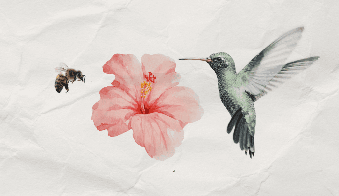 A collage of a hummingbird, flower, and bumblebee.