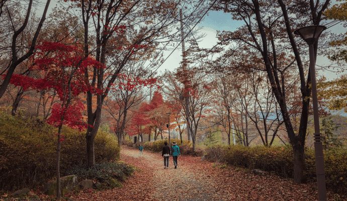 Therapist engage in walk and talk therapy through a wooded trail in the fall