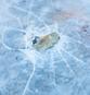 image of rock crashing through ice illustrating therapist countertransference