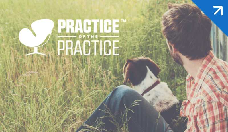Practice of the Practice: Transformation with Howard Spector